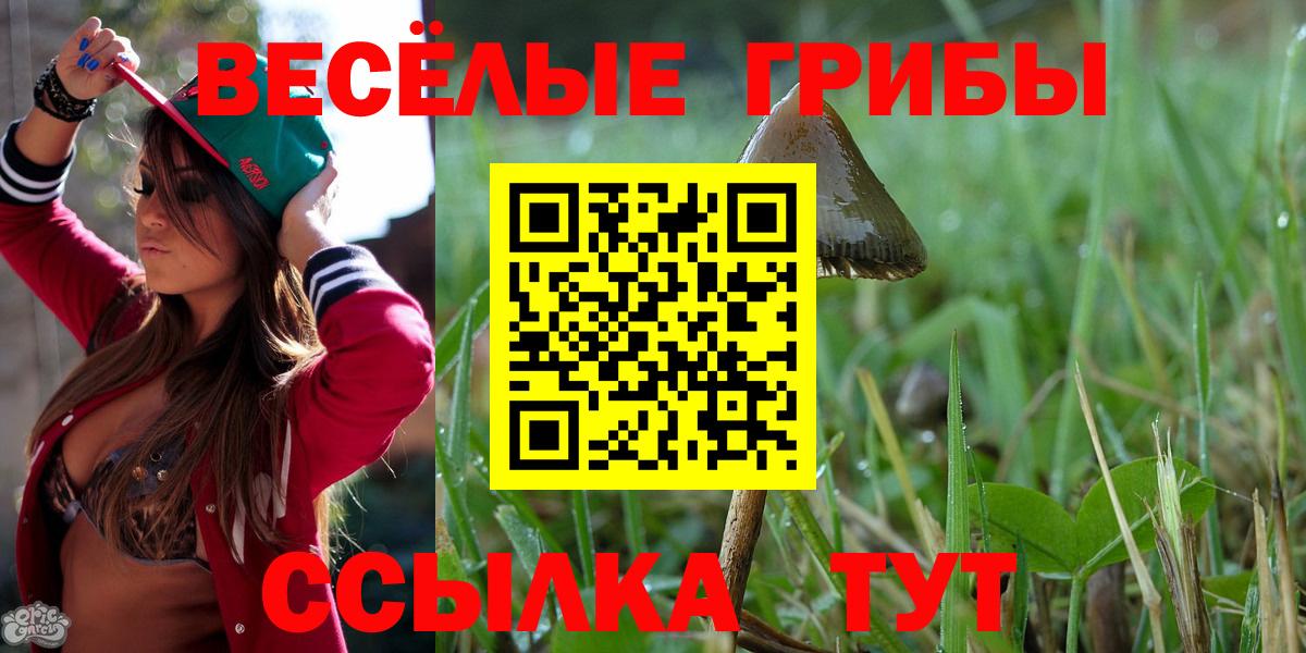 Галлюциногенные грибы мухоморы  Вход с VPN  Добрянка  где продают наркотики  Галлюциногенные грибы ЛСД 