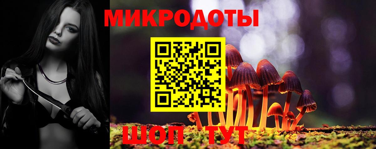 Псилоцибиновые грибы Cubensis Добрянка